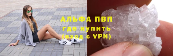 прущие грибы Навашино