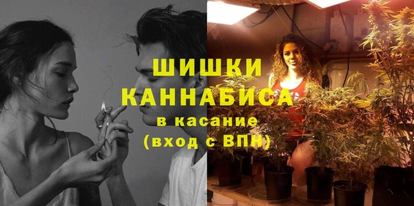 не бодяженный Надым
