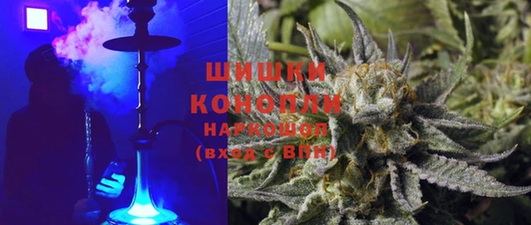 прущие грибы Навашино