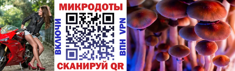 Псилоцибиновые грибы MAGIC MUSHROOMS  где найти   Поворино 